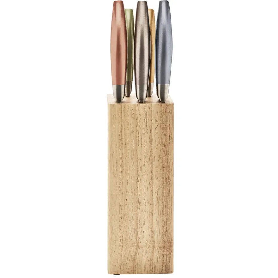 New Pradel France Bloc 5 couteaux métallisés