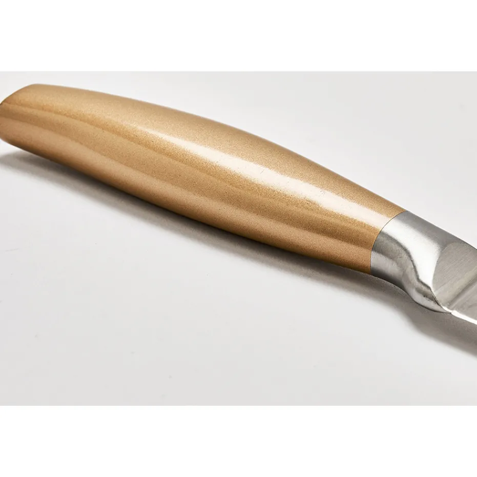 New Pradel France Bloc 5 couteaux métallisés