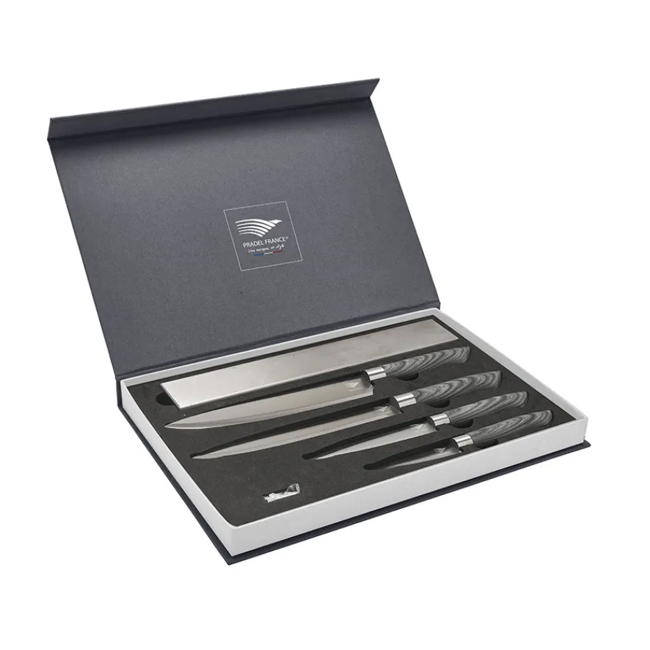 Outlet Pradel France Coffret 4 couteaux avec support magnétique