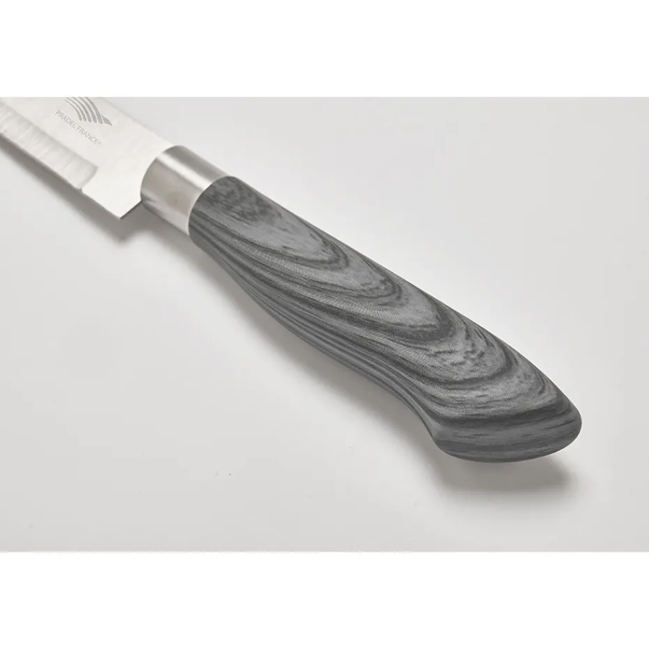 Outlet Pradel France Coffret 4 couteaux avec support magnétique
