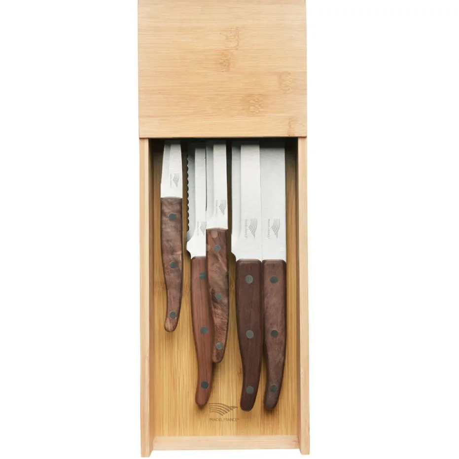 New Pradel France Le lot de 5 couteaux + le range-couteaux pour tiroir
