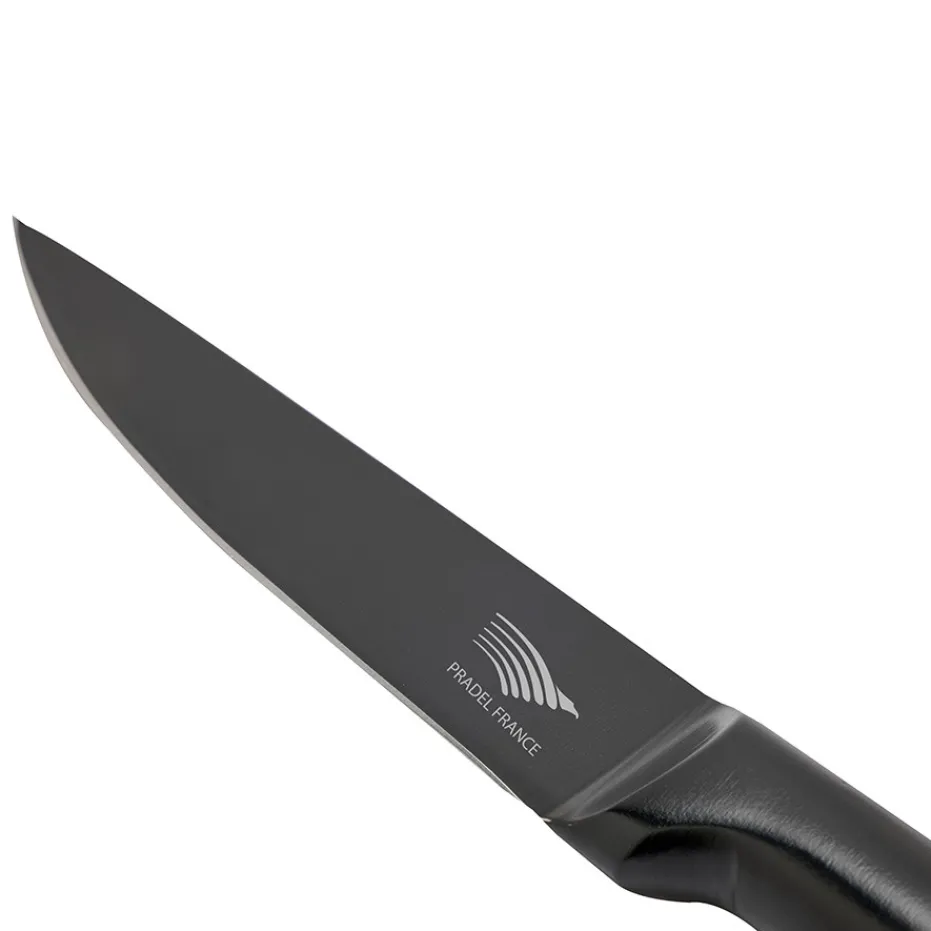Sale Pradel France Lot de 6 couteaux à steak tout inox noir